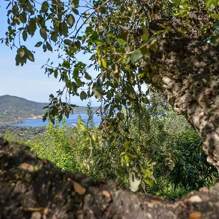 וילה Casa Vignola *