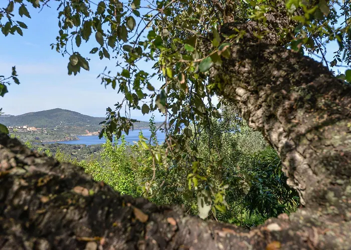 וילה Casa Vignola *